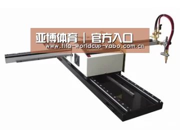 案例展示一