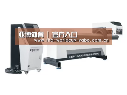 案例展示三
