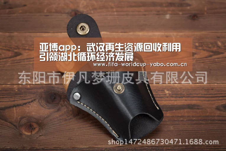 亚博app：武汉再生资源回收利用引领湖北循环经济发展