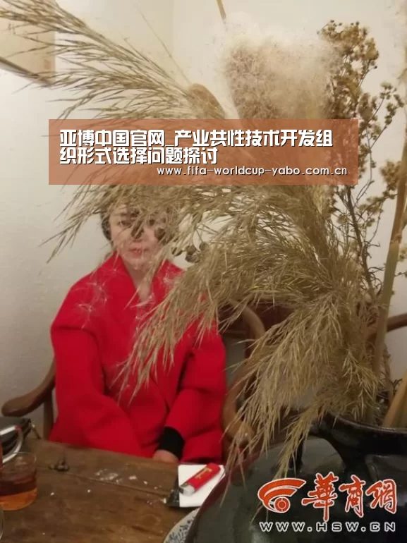 亚博中国官网_产业共性技术开发组织形式选择问题探讨(图4) 亚博中国官网