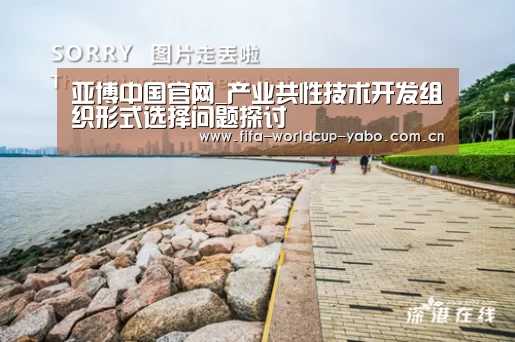 亚博中国官网_产业共性技术开发组织形式选择问题探讨(图3) 亚博官网