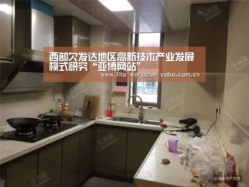 西部欠发达地区高新技术产业发展模式研究“亚博网站”(图3) 亚博官网