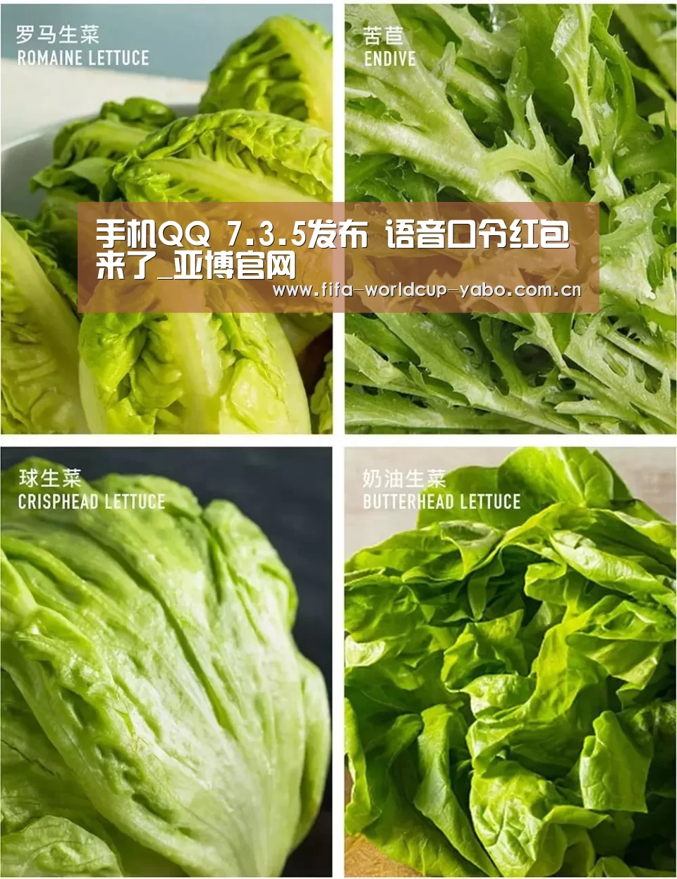 手机QQ 7.3.5发布 语音口令红包来了_亚博官网(图3) 亚博app